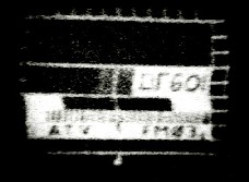 1. Bild 1982