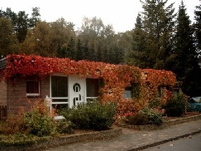 Herbst