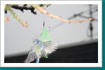 Klicken Sie auf das Bild, um es zu vergr&ouml;&szlig;ern